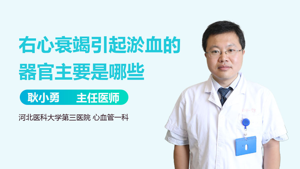 右心衰竭引起淤血的器官主要是哪些