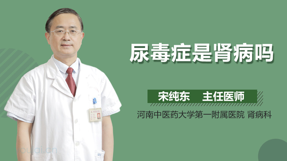 尿毒症是肾病吗