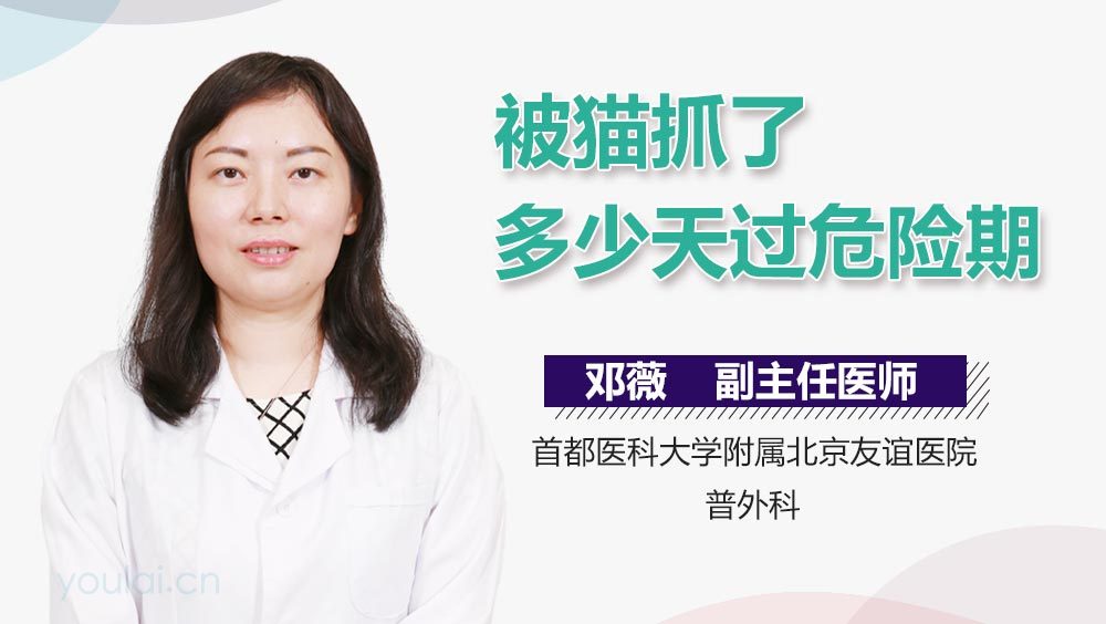 被猫抓了多少天过危险期