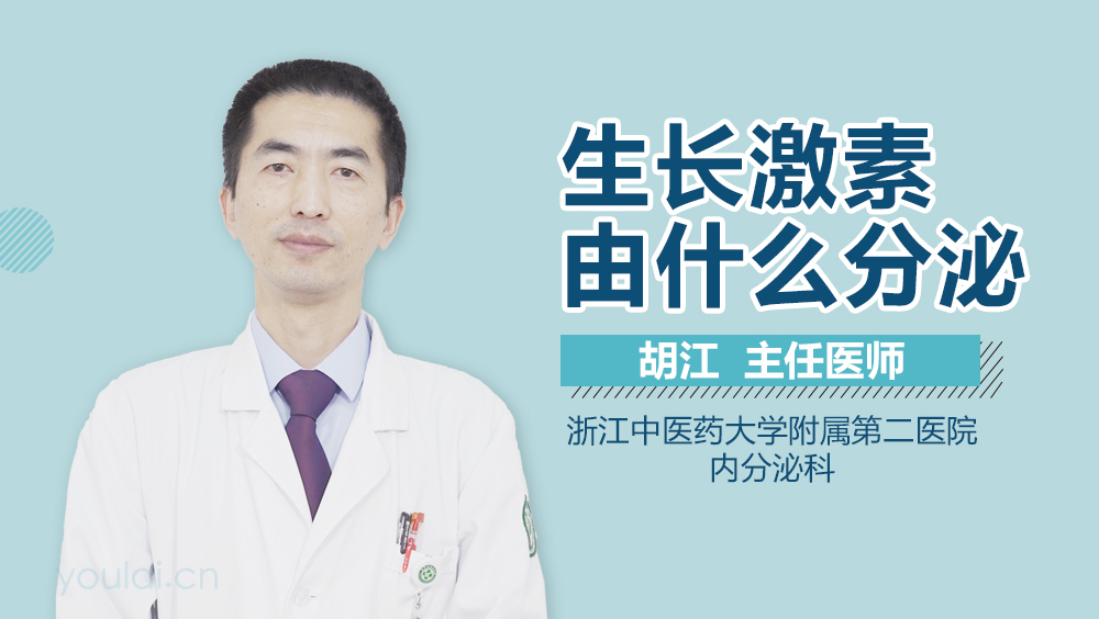 生长激素由什么分泌