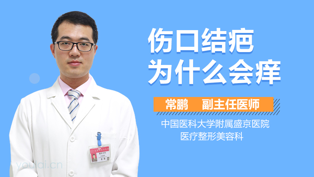 伤口结疤为什么会痒