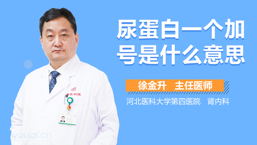 尿蛋白一个加号是什么意思