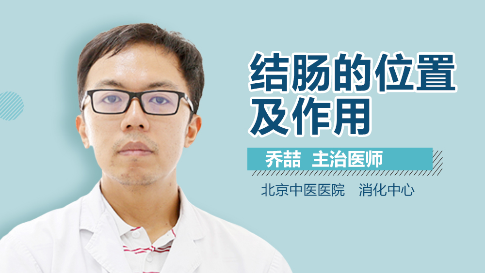 结肠的位置及作用