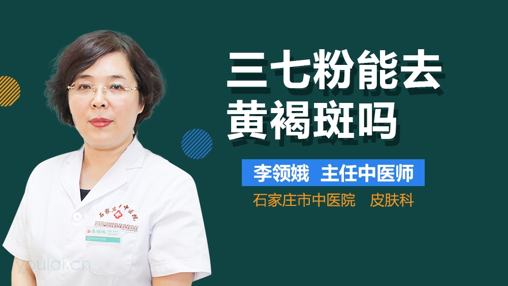 三七粉能去黄褐斑吗