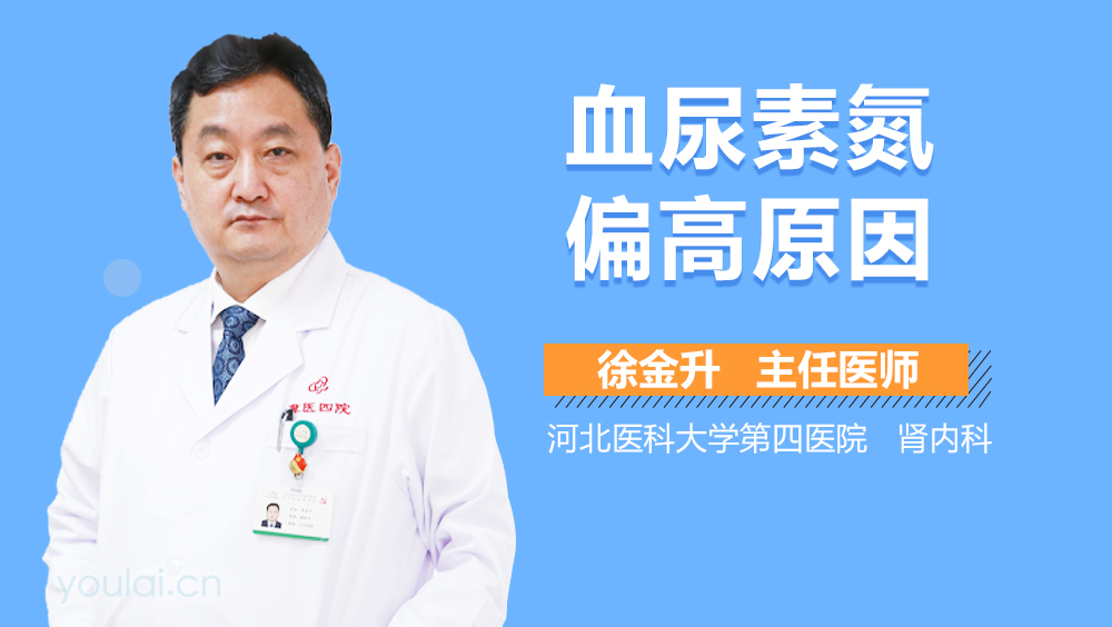 血尿素氮偏高原因