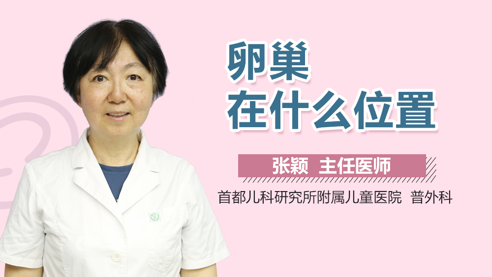 卵巢在什么位置