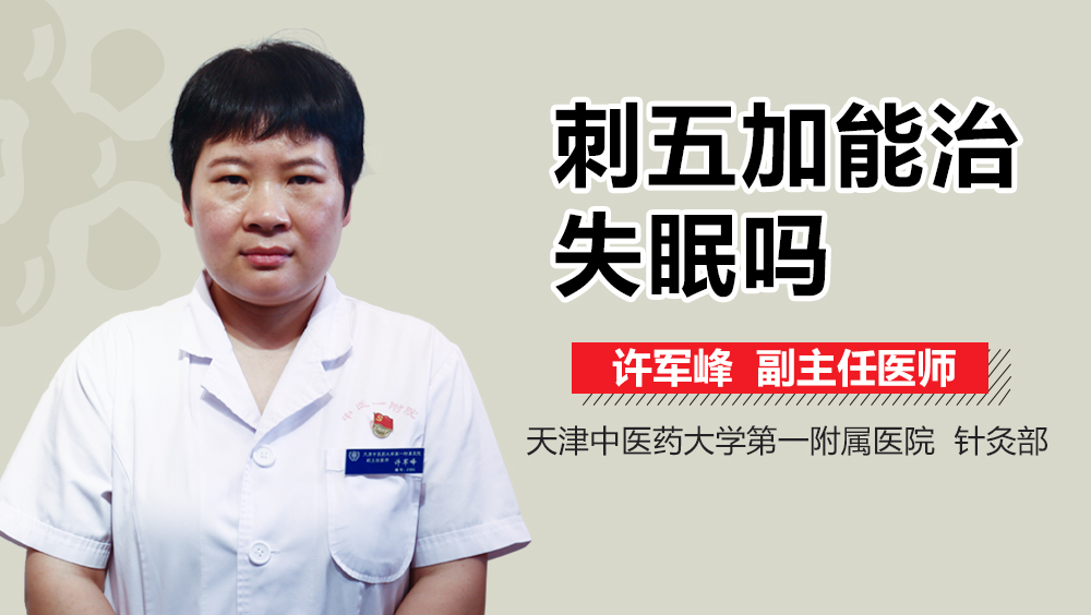 刺五加能治失眠吗