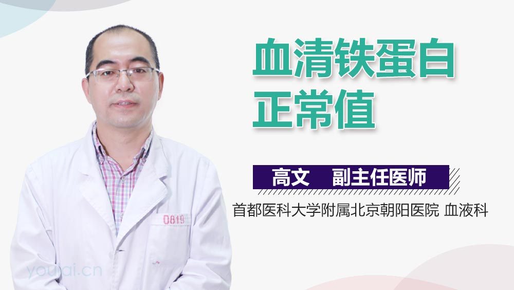 血清铁蛋白正常值