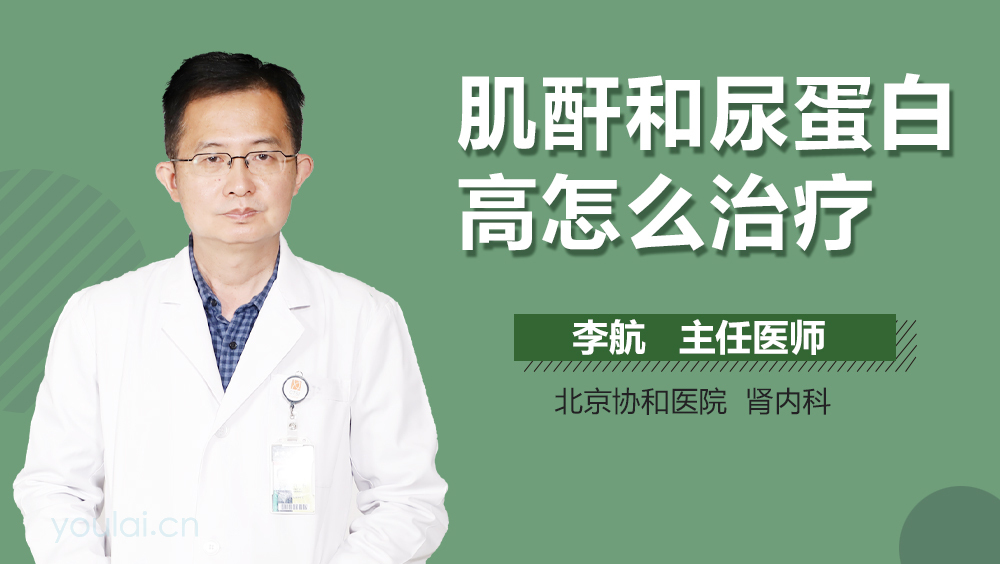 肌酐和尿蛋白高怎么治疗