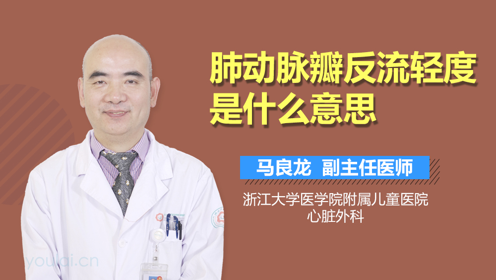 肺动脉瓣反流轻度是什么意思