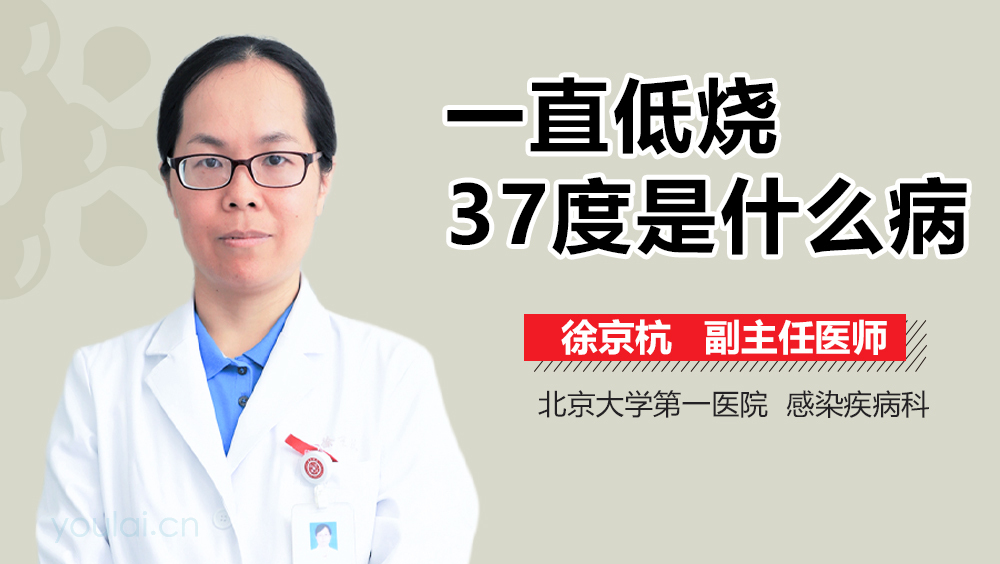 一直低烧37度是什么病