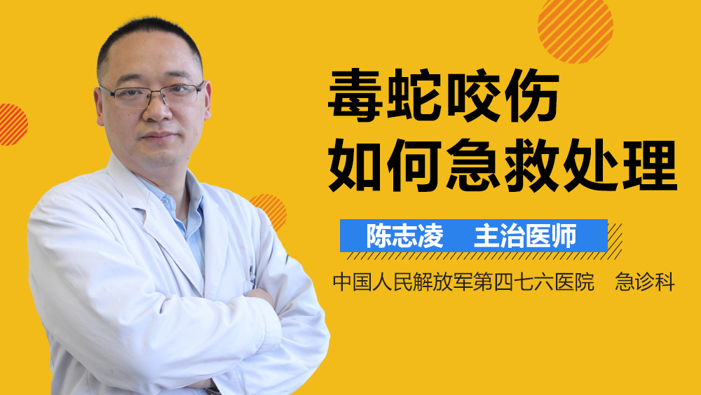 毒蛇咬伤如何急救处理