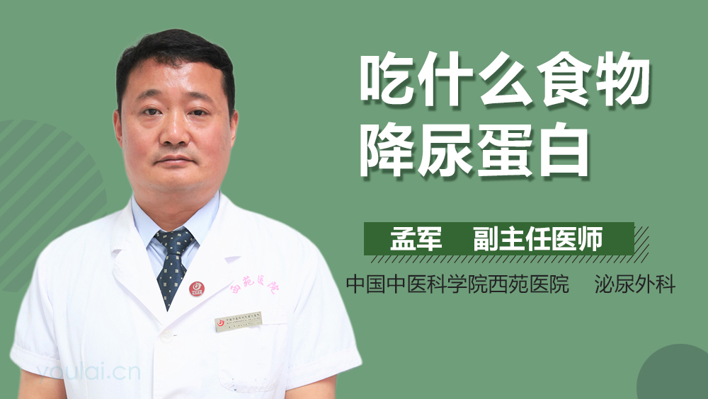 吃什么食物降尿蛋白