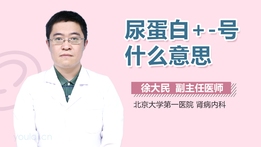 尿蛋白+-号什么意思