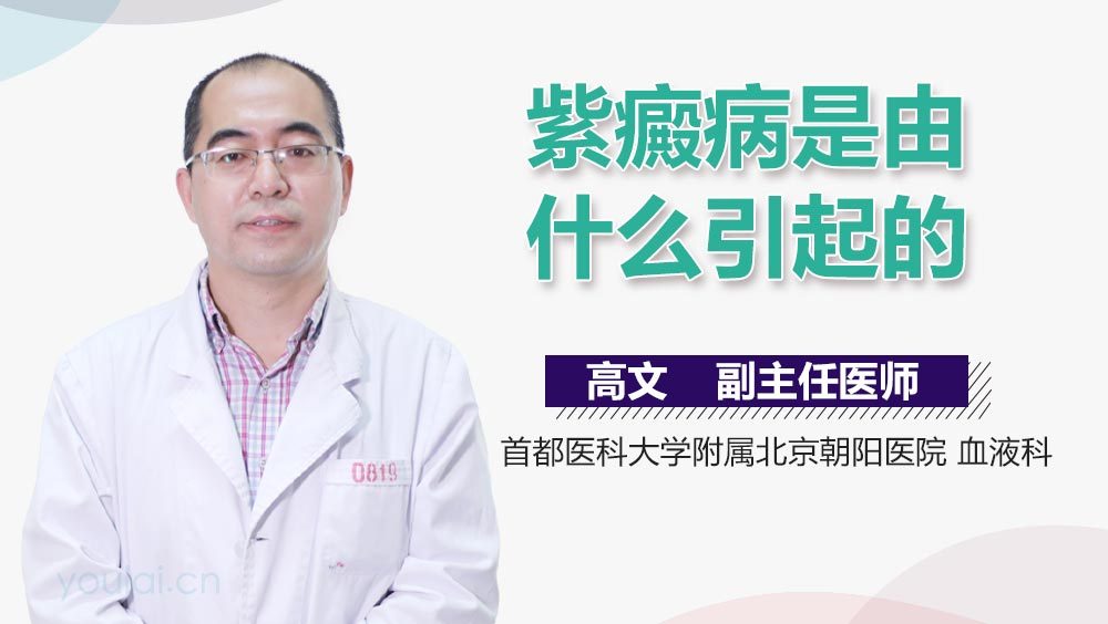 紫癜病是由什么引起的