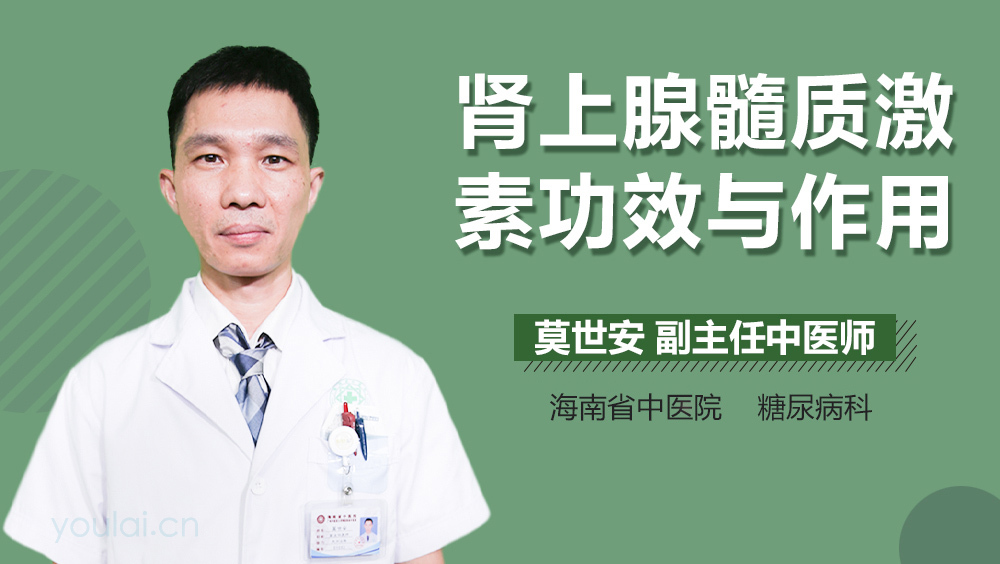 肾上腺髓质激素功效与作用