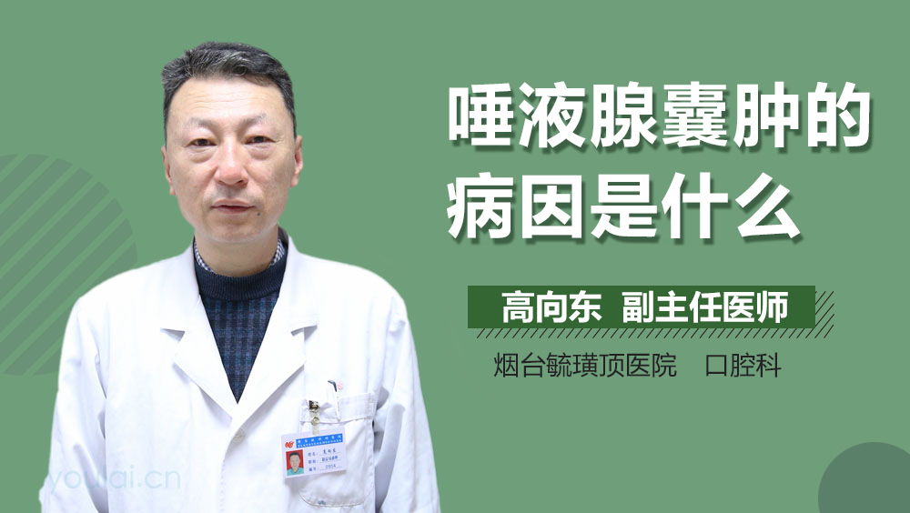 唾液腺囊肿的病因是什么