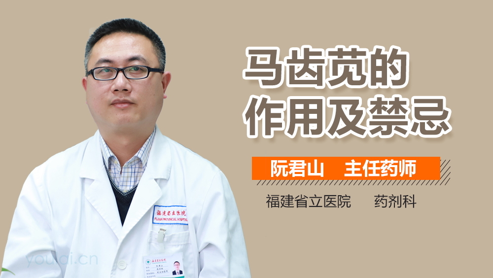 马齿苋的作用及禁忌
