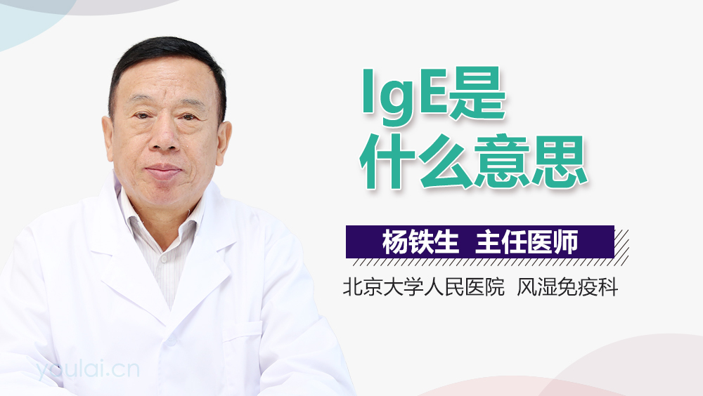 IgE是什么意思