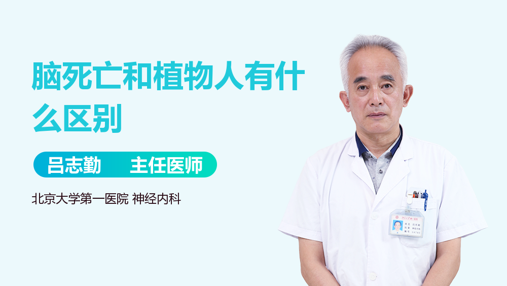 脑死亡和植物人有什么区别