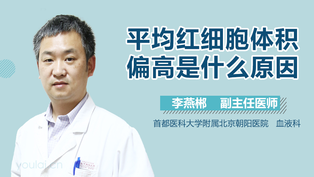 平均红细胞体积偏高是什么原因