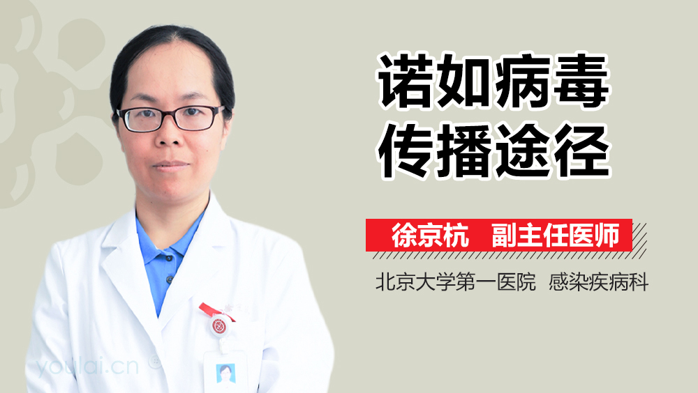 诺如病毒传播途径