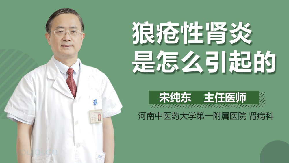 狼疮性肾炎是怎么引起的