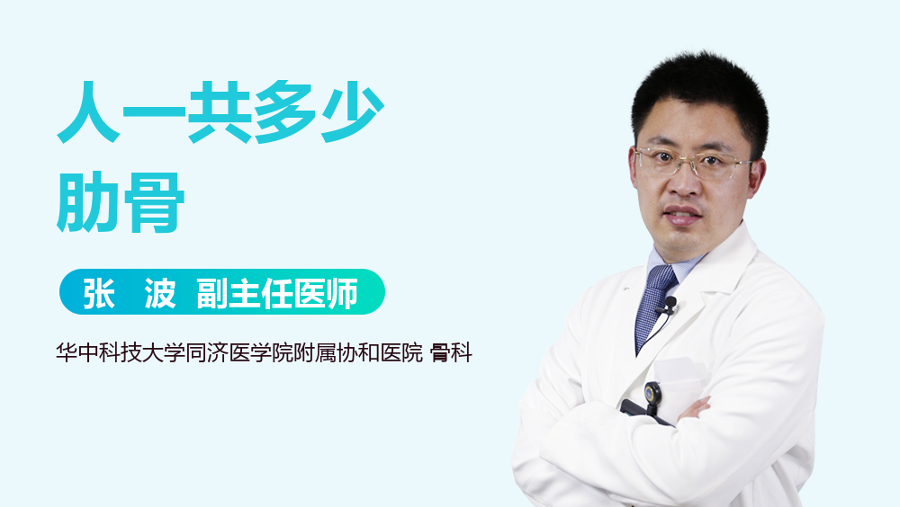 人一共多少肋骨