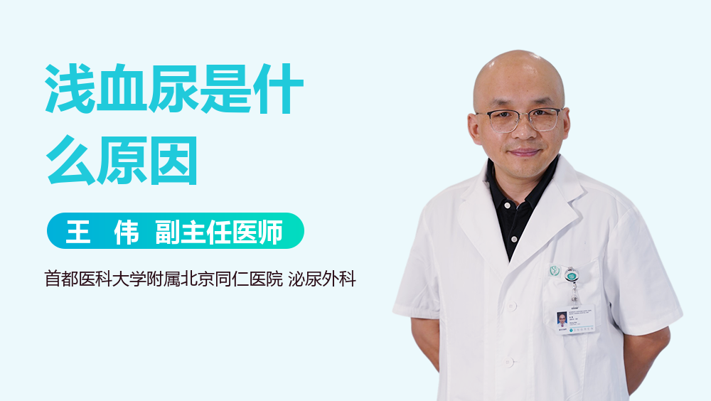 浅血尿是什么原因