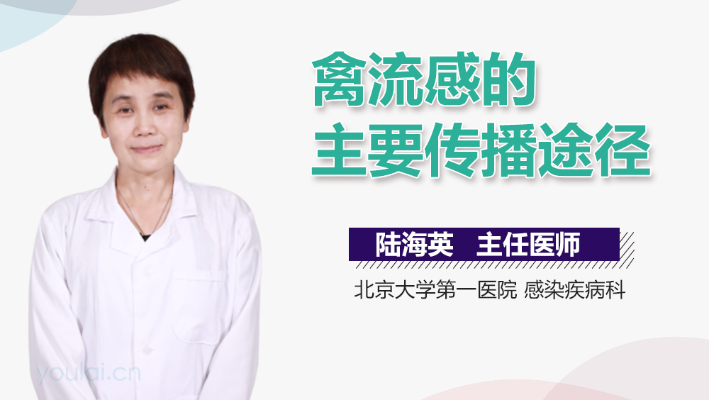 禽流感的主要传播途径