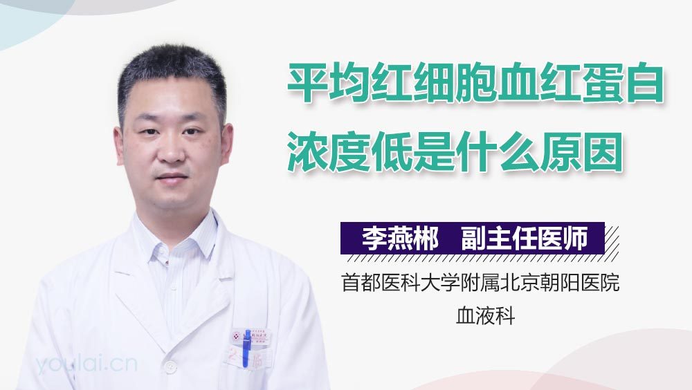 平均红细胞血红蛋白浓度低是什么原因