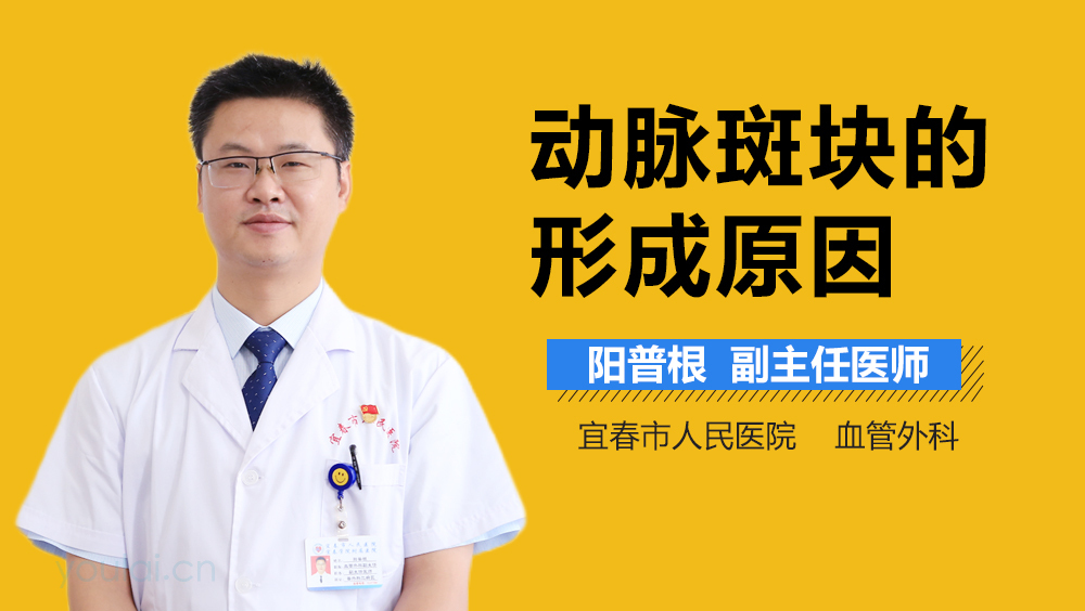 动脉斑块的形成原因