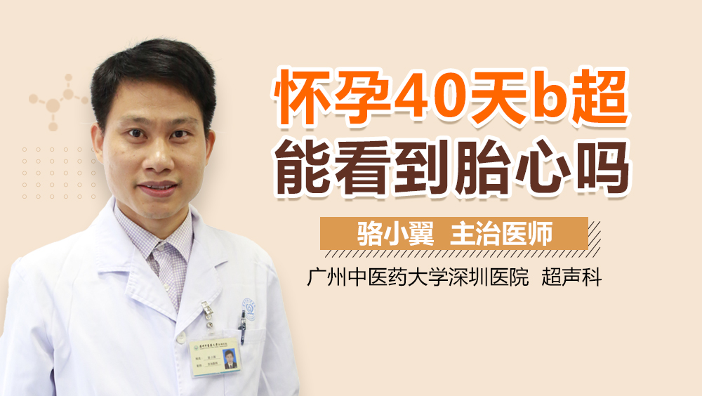 怀孕40天b超能看到胎心吗