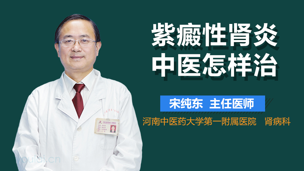 紫癜性肾炎中医怎样治