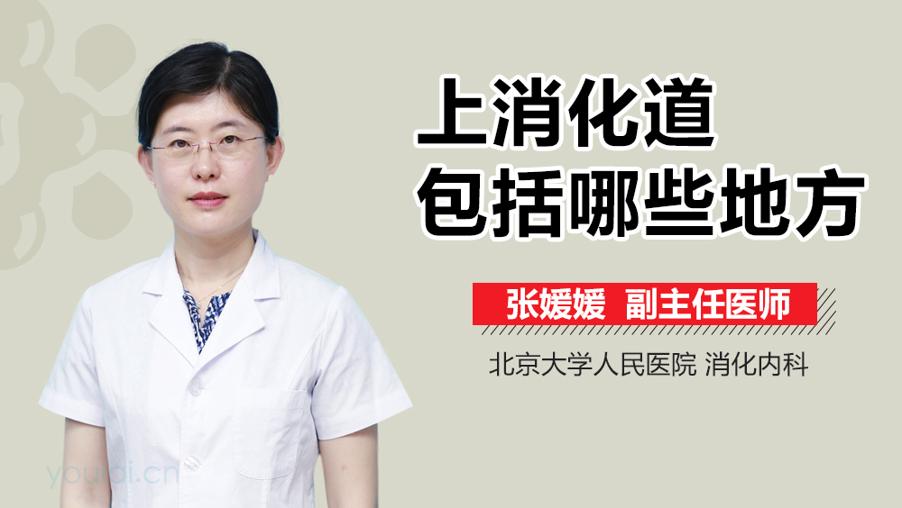 上消化道包括哪些地方