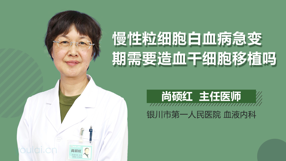 慢性粒细胞白血病急变期需要造血干细胞移植吗