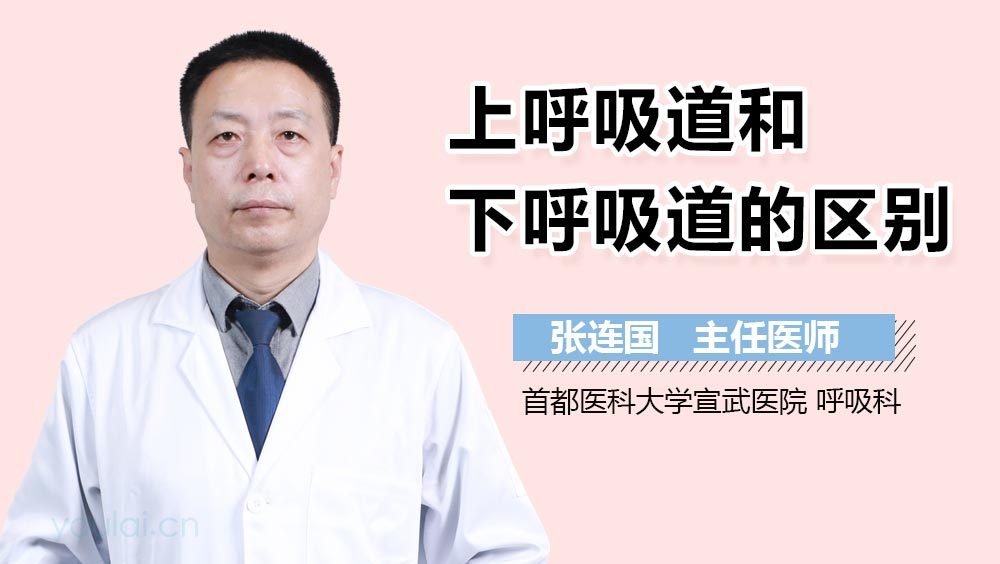 上呼吸道和下呼吸道的区别