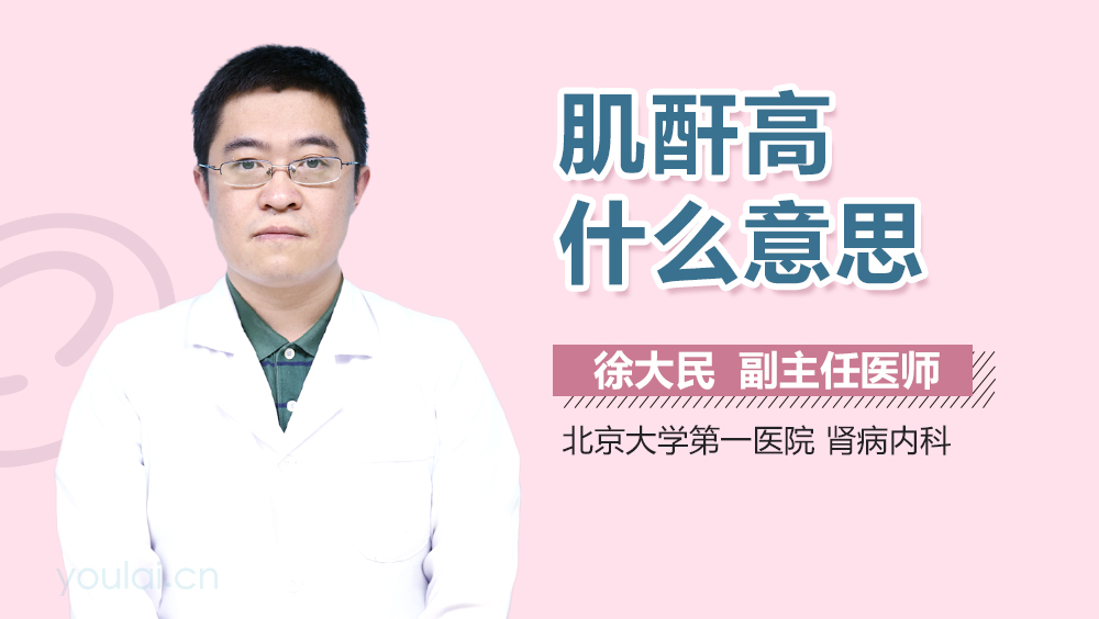 肌酐高什么意思