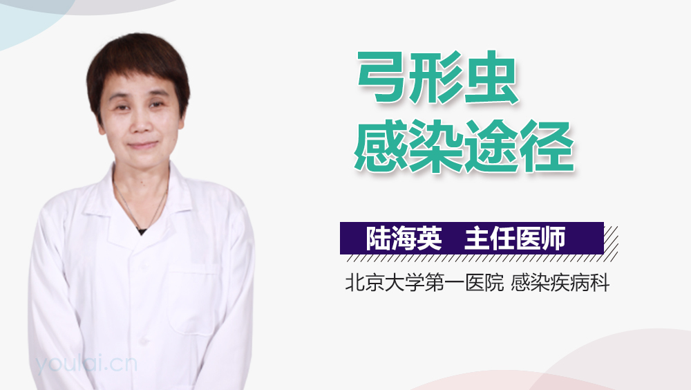 弓形虫感染途径