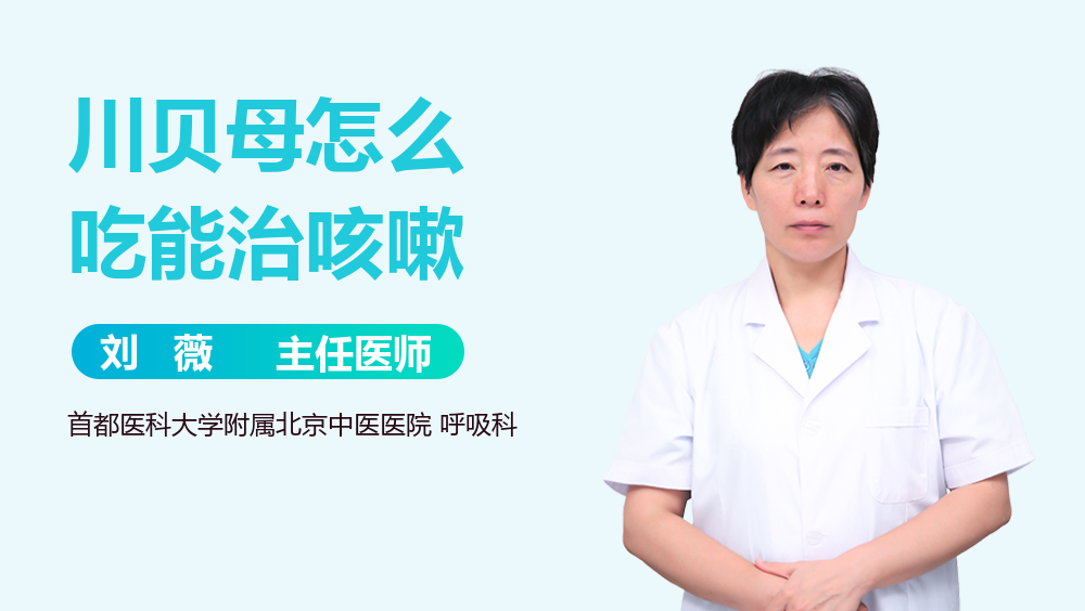 川贝母怎么吃能治咳嗽