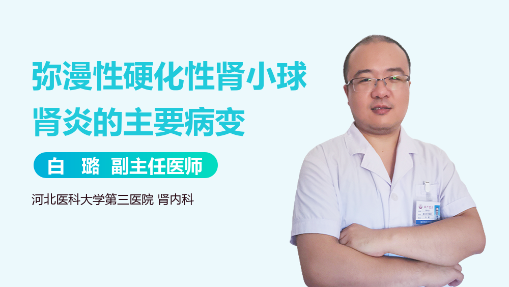 弥漫性硬化性肾小球肾炎的主要病变