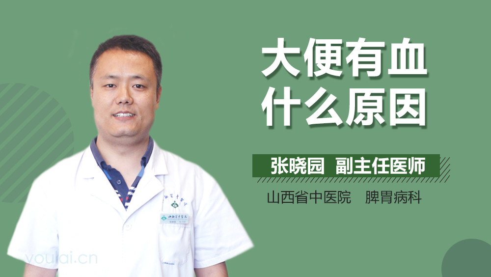 大便有血什么原因