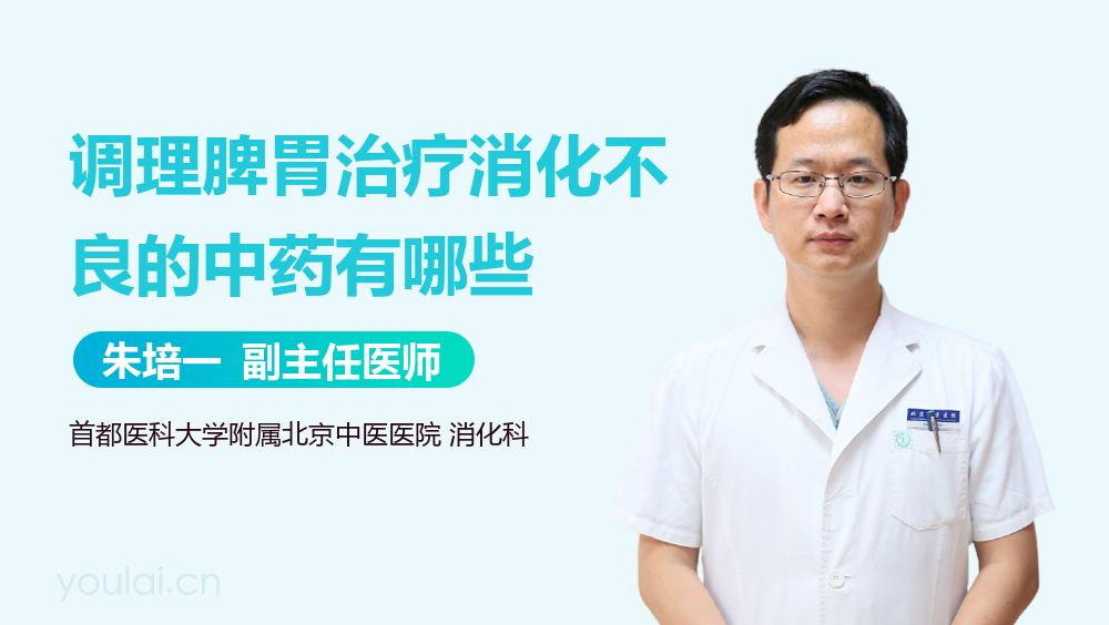 调理脾胃治疗消化不良的中药有哪些