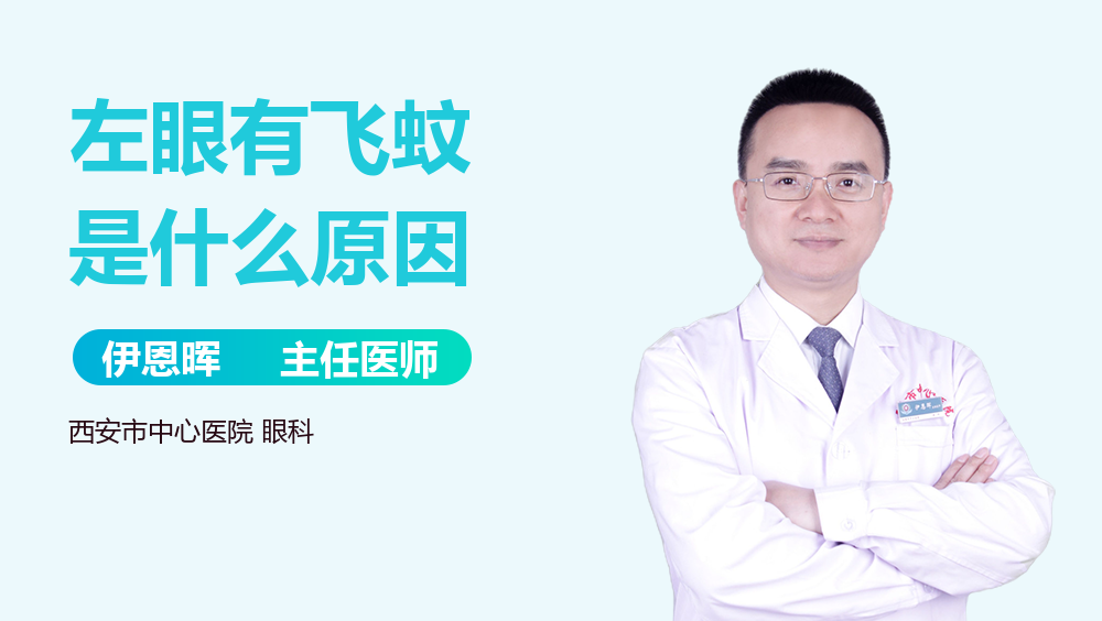 左眼有飞蚊是什么原因