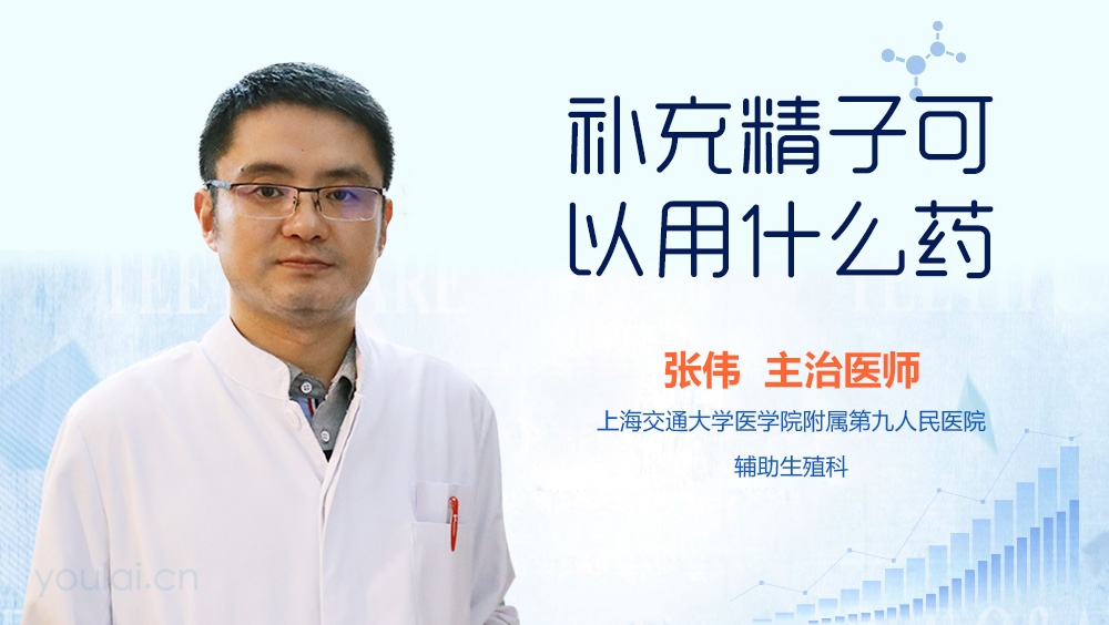 补充精子可以用什么药