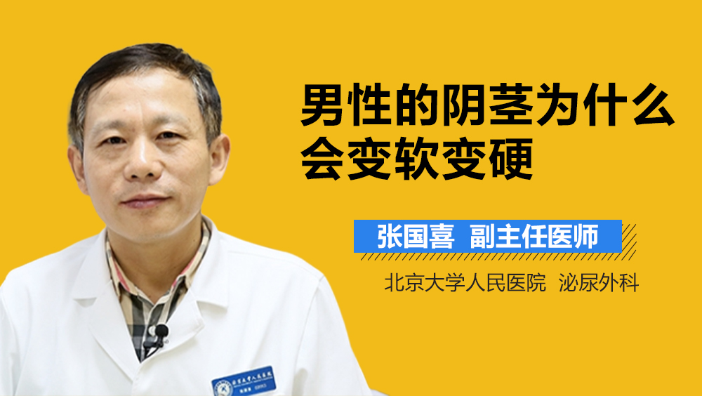 男性的阴茎为什么会变软变硬