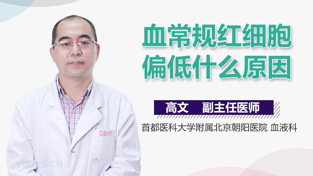 血常规红细胞偏低什么原因