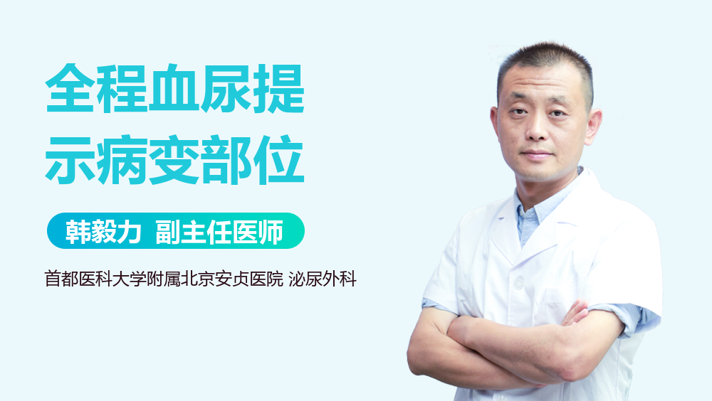 全程血尿提示病变部位