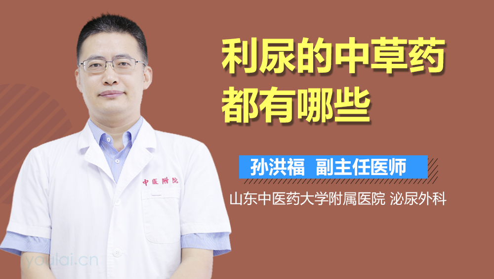 利尿的中草药都有哪些
