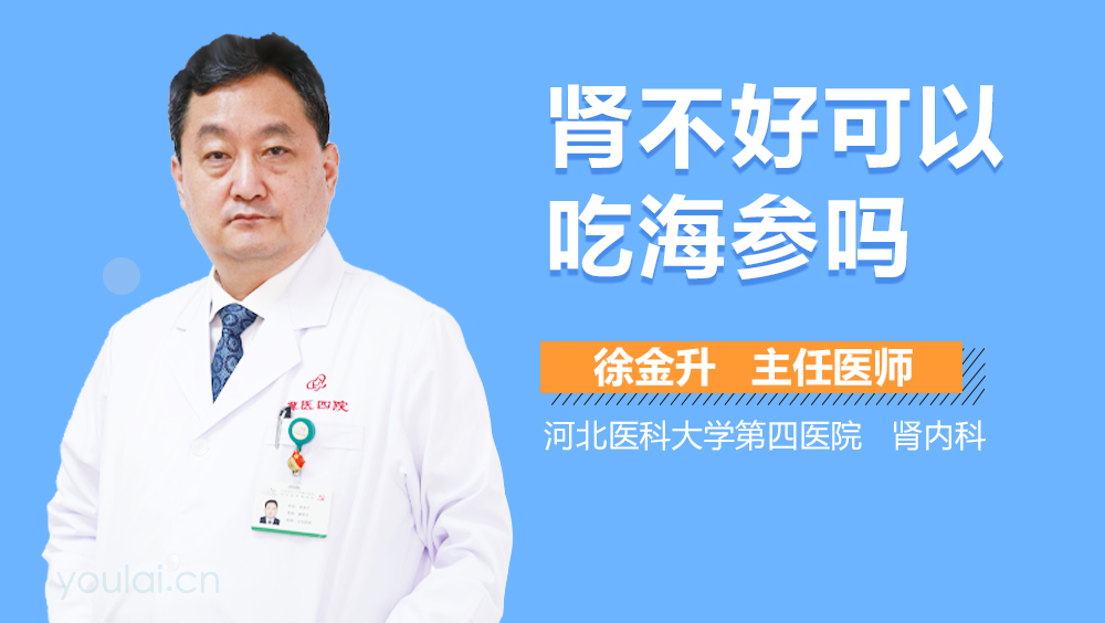 肾不好可以吃海参吗